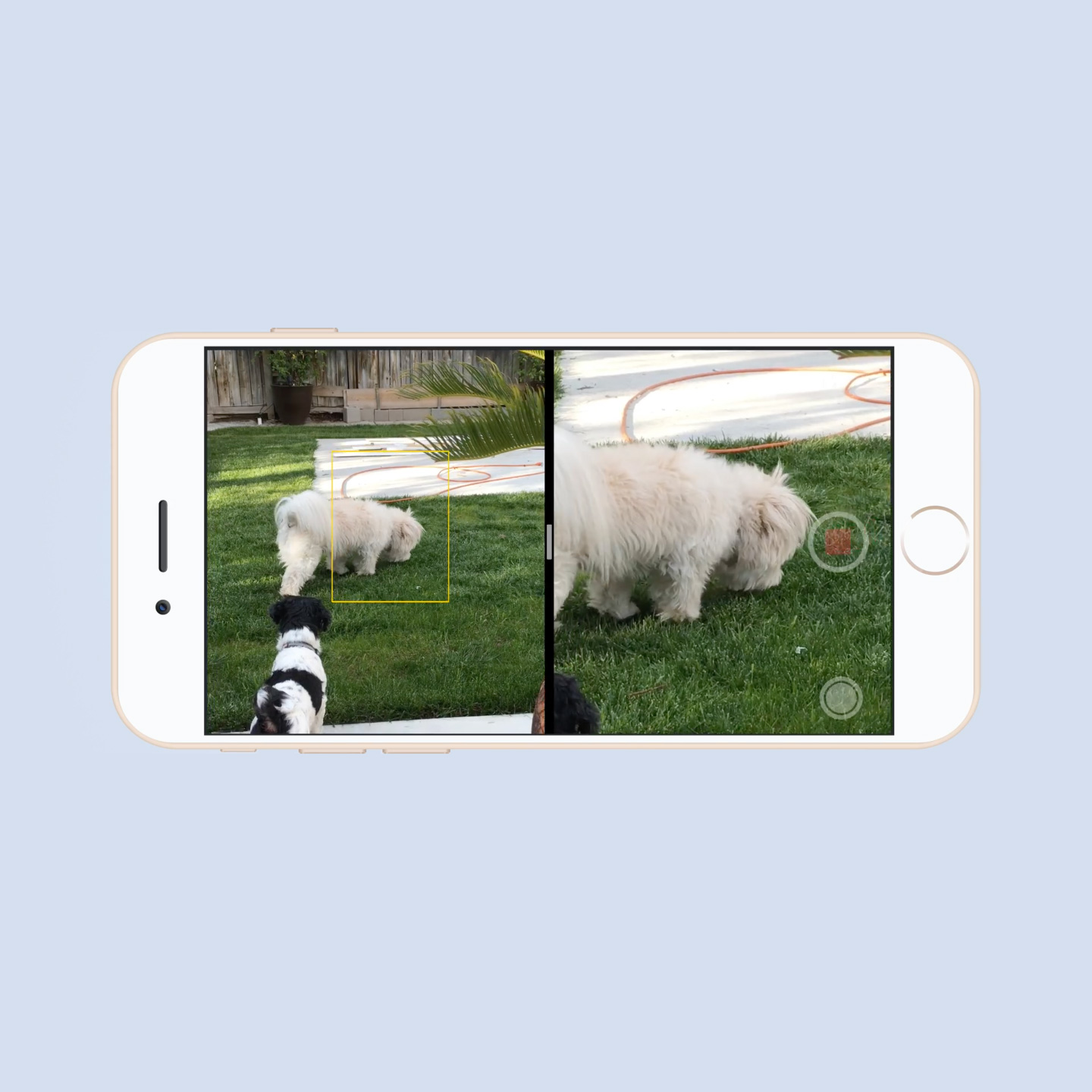iPhone7Plus-render-camera